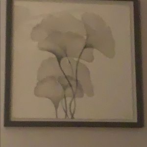 Meet your Posher, Blanca